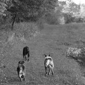 Sarah Connaughton's photo