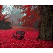 Malak Ali-Ahmad's photo