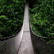 Matt Genereux's photo