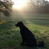 Darla Moore's photo