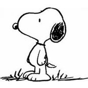 Photo de Alain Kenkel