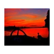 John Werne's photo