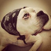 Leslie Dumke's photo
