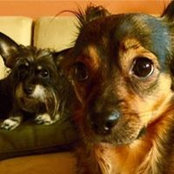 Los Garcia Keyless's photo