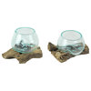 Set of 2 Blown Molten Glass On Teak Driftwood Decorative Bowls Vases Terrariums