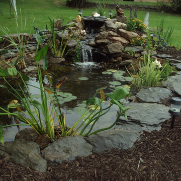 Ponds and Streams