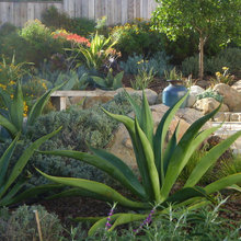 landscape design