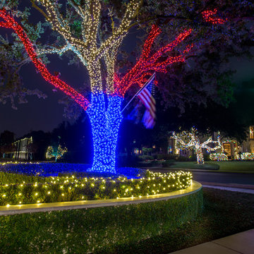 Christmas Light Grandeur