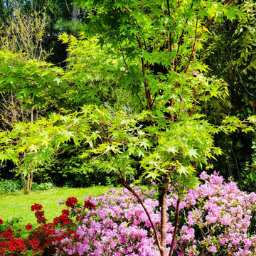 Plant and Garden Recipes