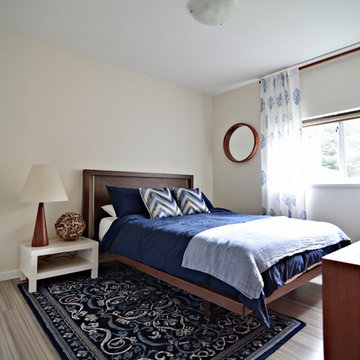 Midcentury Basement Suite Transformation
