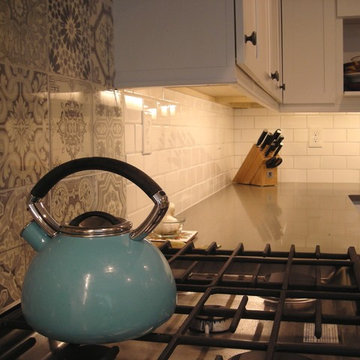 Denver University Home Kitchen Remodel