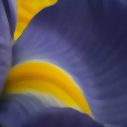 JOURNEY 6 - Fine Art Prints