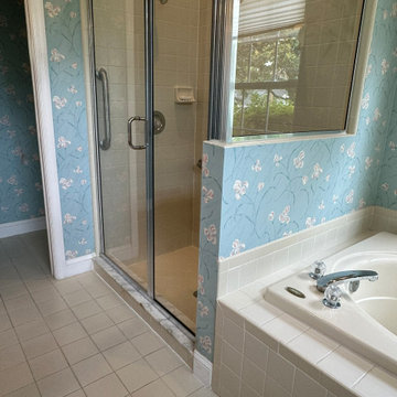 Complete Bathroom Remodel and Makeover