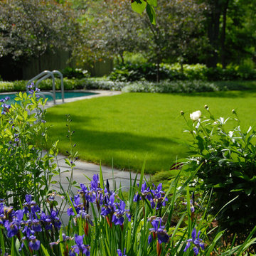 Backyard Oasis - Shelburne, VT - Perennial Flowers by Pool