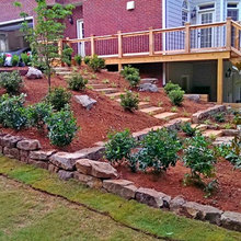 Shaw Backyard Project