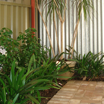 Earlwood Front Garden