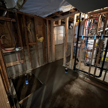 Federal Way Basement Remodel