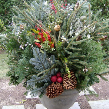 Winter Interest Container & Annual Display
