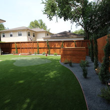 Back yard