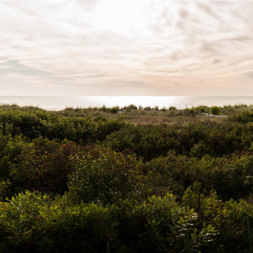 74th-75th Street Dune Vegetation Management