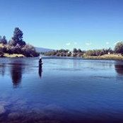 Will Tran's photo