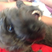 jack mcniel's photo