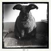 Gil Bagnell's photo