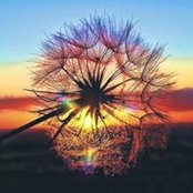 Patsy Maeses foto