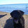 suzanne_hopkins