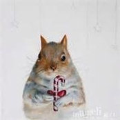 Donna Orthmann's photo