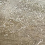 Simone Morris's photo