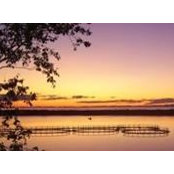 Duane Linton's photo