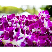 Lisa Welch's photo