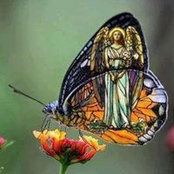 Doreen White's photo
