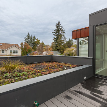 Method Homes Custom Elemental 3
