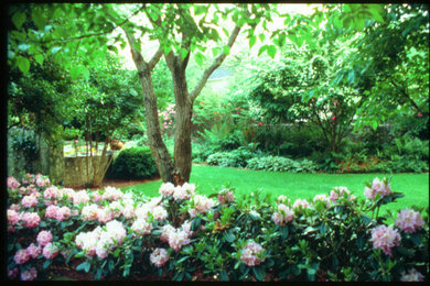 アトランタにあるトラディショナルスタイルのおしゃれな庭の写真