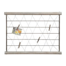 organization