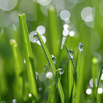 Water Conservation
