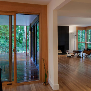 treehouse