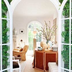 Area Rug Collection - Area Rugs