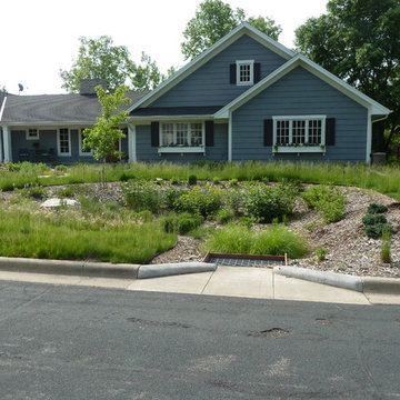 Rain Gardens