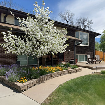 Front yard design in Arvada Colorado