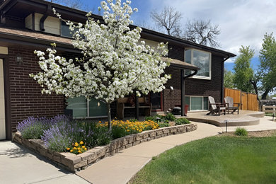 Design ideas for a modern landscaping in Denver.
