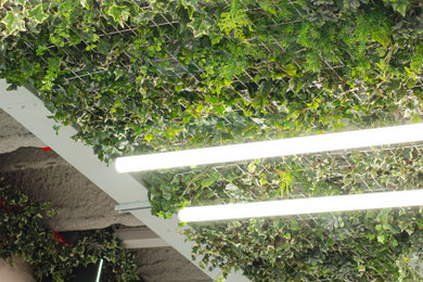 DRUNI - Universo ECO artificial