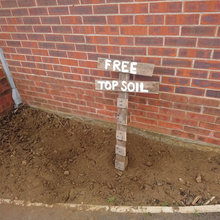 Swannell Way garden 2017