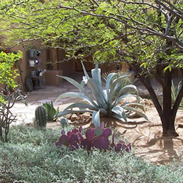 Desert House