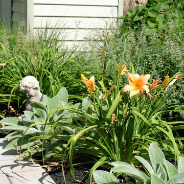 Contemporary Backyard Garden - Cambridge