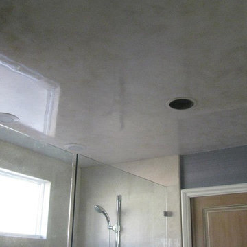 Metallic plaster "grasscloth" finish with venetian plaster ceiling