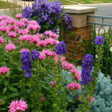 Exterior Ideas