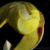 Roger Sawhill's photo